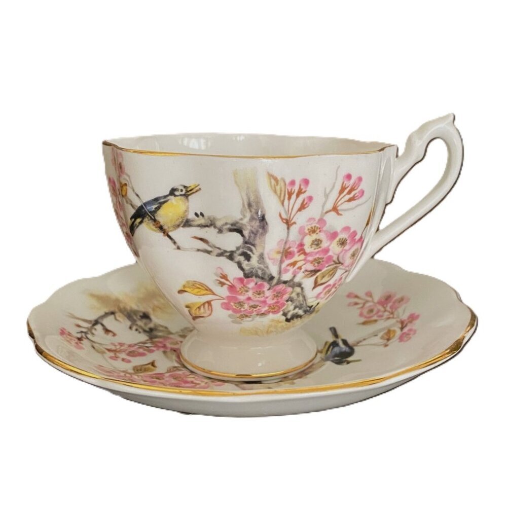 Vintage Queen Anne Bird in Cherry Blossom Tree Fine Bone China Cup Saucer Set